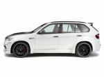 BMW Flash EVO M by Hamann 2010 года